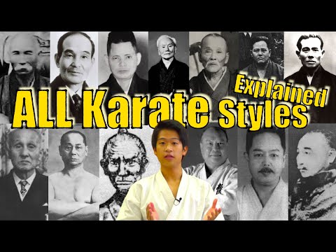 Karate Style Comparison! Names &amp; Characteristics Explained