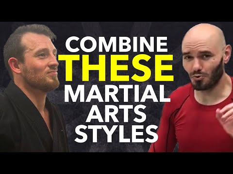 The BEST Modern Styles to Combine with Traditional Martial Arts W/ Ramsey Dewey