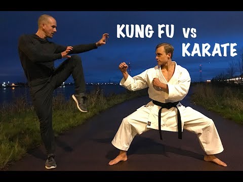 KUNG FU vs KARATE | STREET FIGHT!