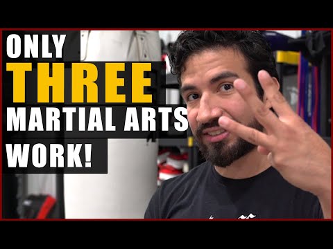 3 Best Martial Arts Styles | No, It&#039;s Not Yours