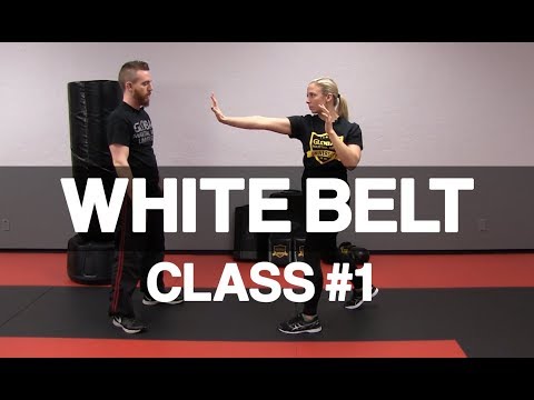 Introduction to Krav Maga - White Belt Class #1 (Stance &amp; Palm Strike)