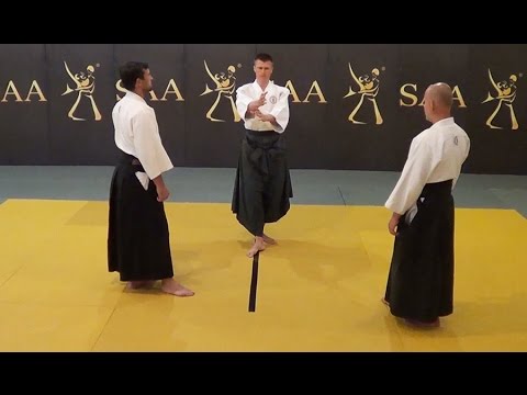 Aikido Kamae Instructional