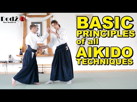 [Aikido Tutorial] Main Principles of All Techniques