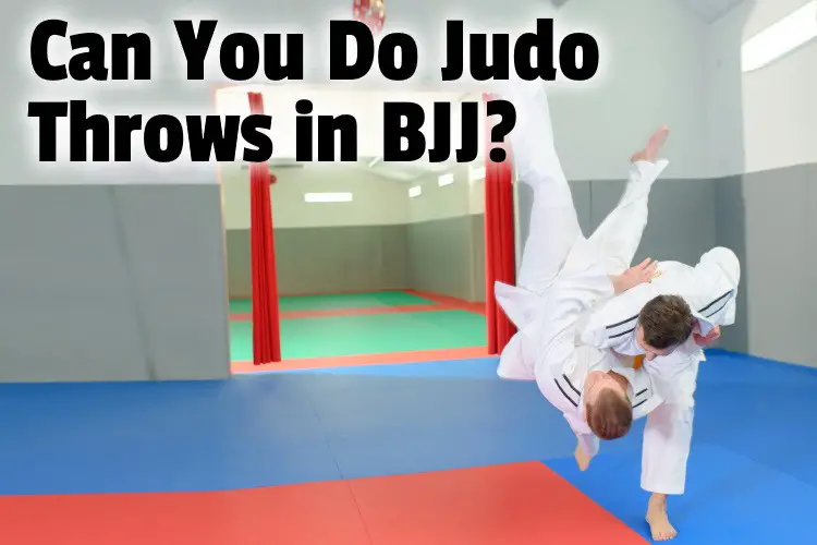 judo throws bjj lg