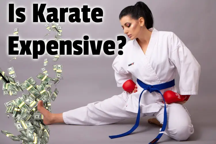 Is Karate Expensive lg