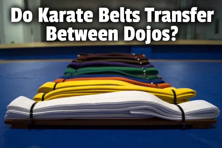 karate belts transfer lg