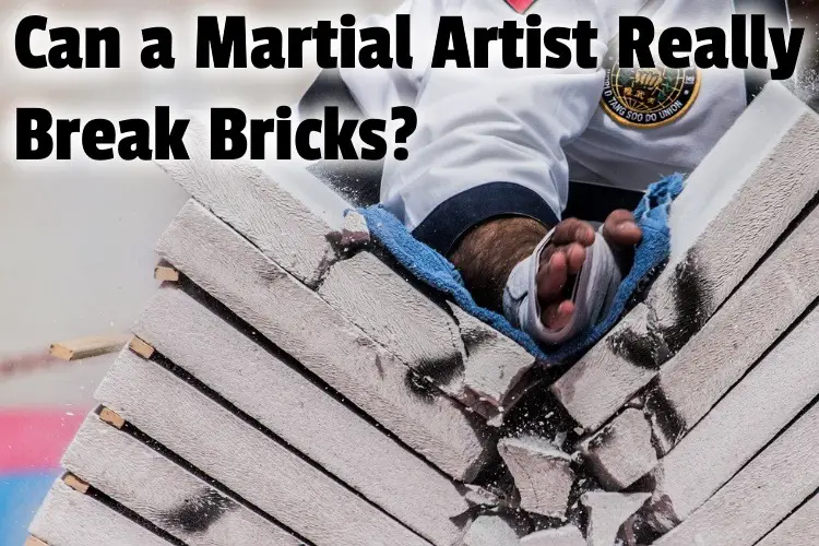 martial artist break bricks lg