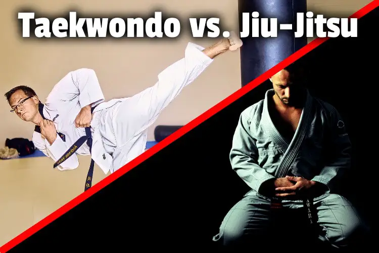 taekwondo vs jiujitsu lg