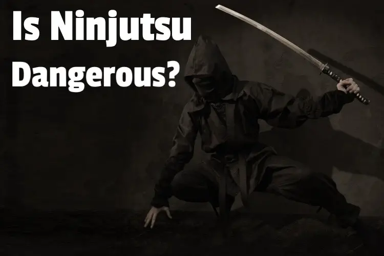 Is Ninjutsu dangerous lg