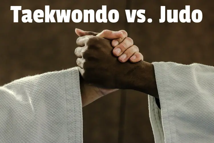 Taekwondo vs Judo lg