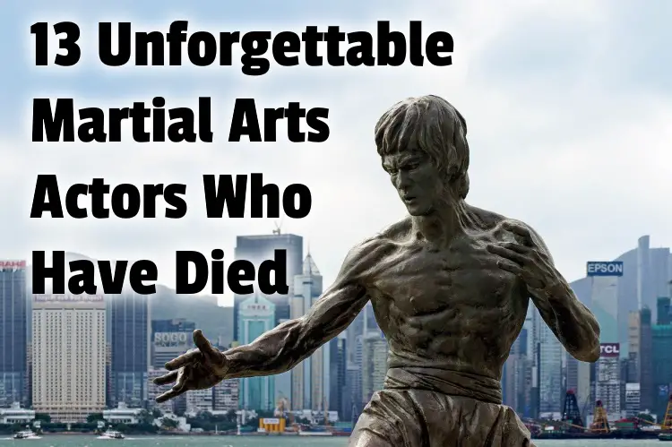 martial arts actor died lg