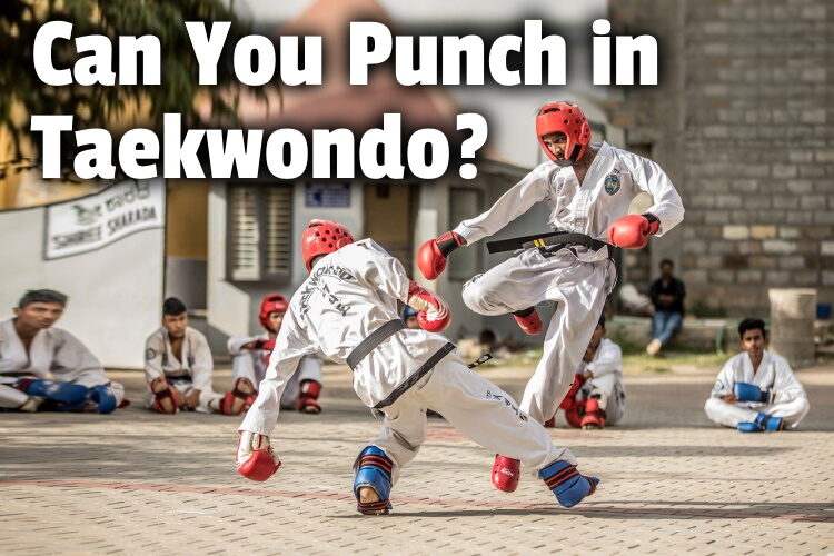 Can You Punch in Taekwondo? Techniques List)