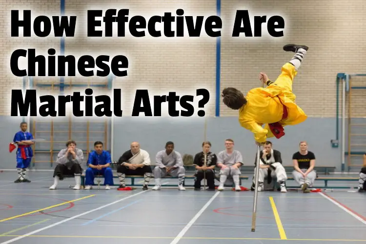 effective chinese martial arts lg
