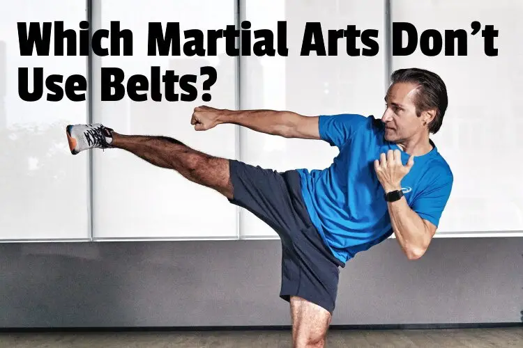 martial arts no belts lg