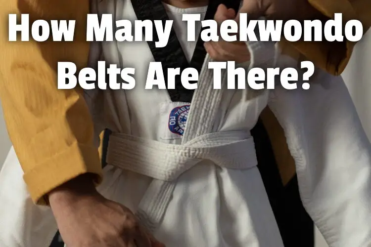 how many taekwondo belts lg