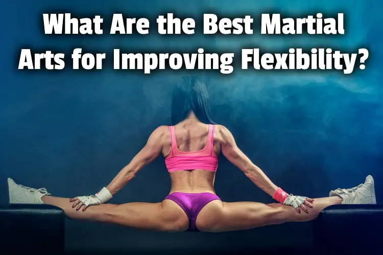 flexibile martial arts lg