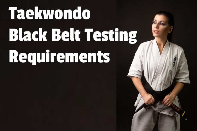 Taekwondo black belt lg