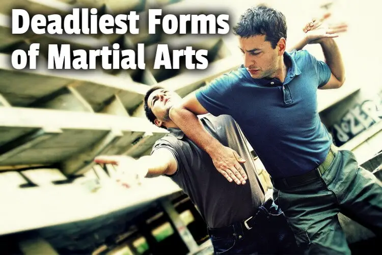 deadliest martial arts lg