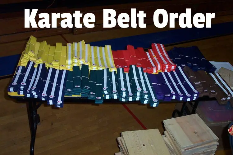 karate belt order lg