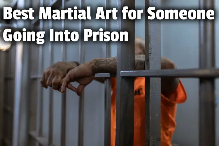 martial art prison lg