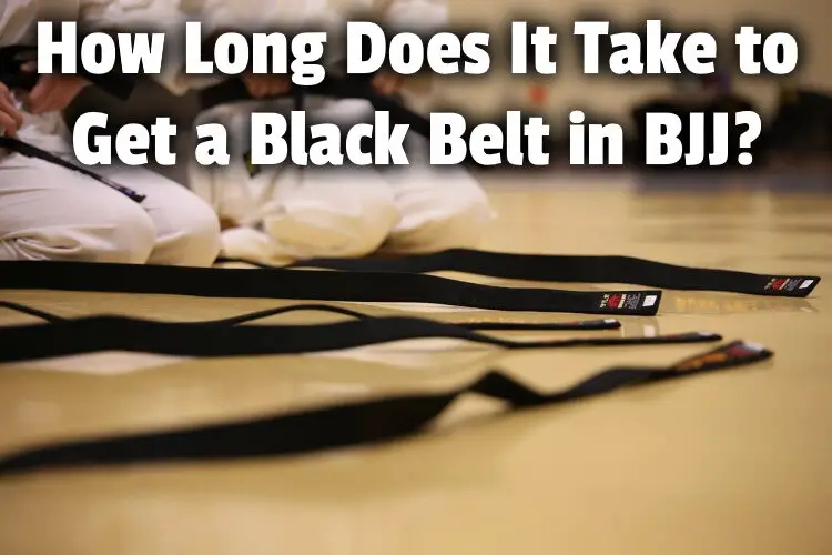 how long bjj black belt lg