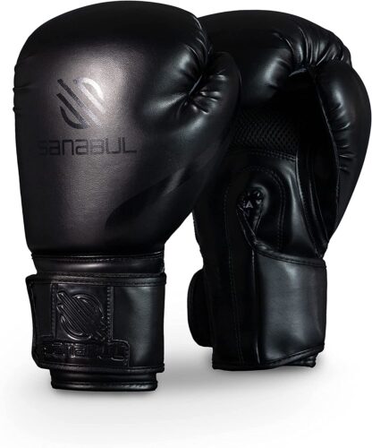 sanabul boxing gloves