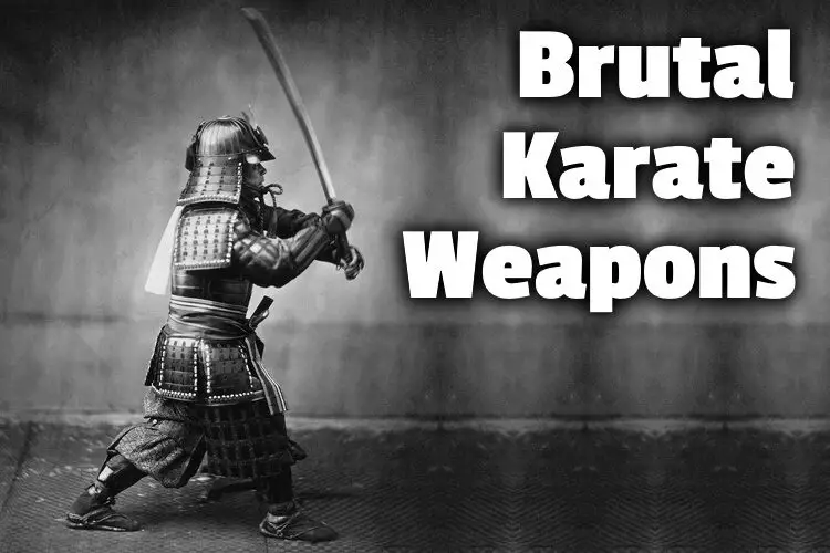 karate weapons lg